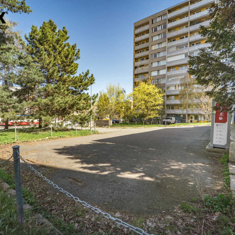 Haje_3306973